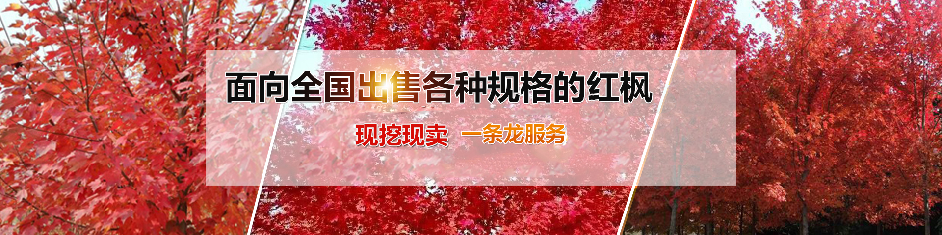 濟寧星志重工機械有限公司