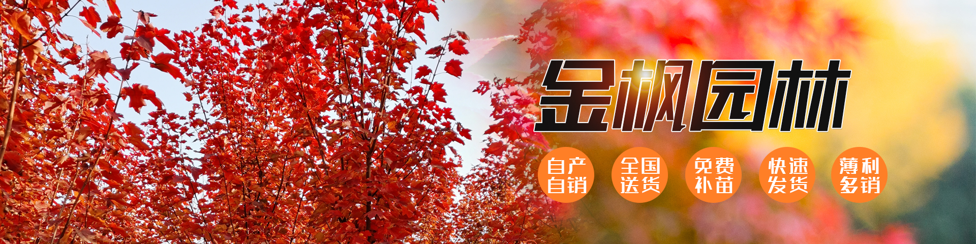 濟寧星志重工機械有限公司